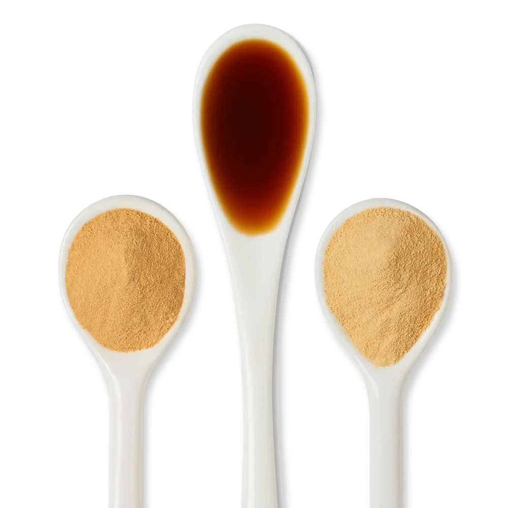 Three white spoons: the middle spoon contains a dark brown liquid, while the two outer spoons hold light brown powder.