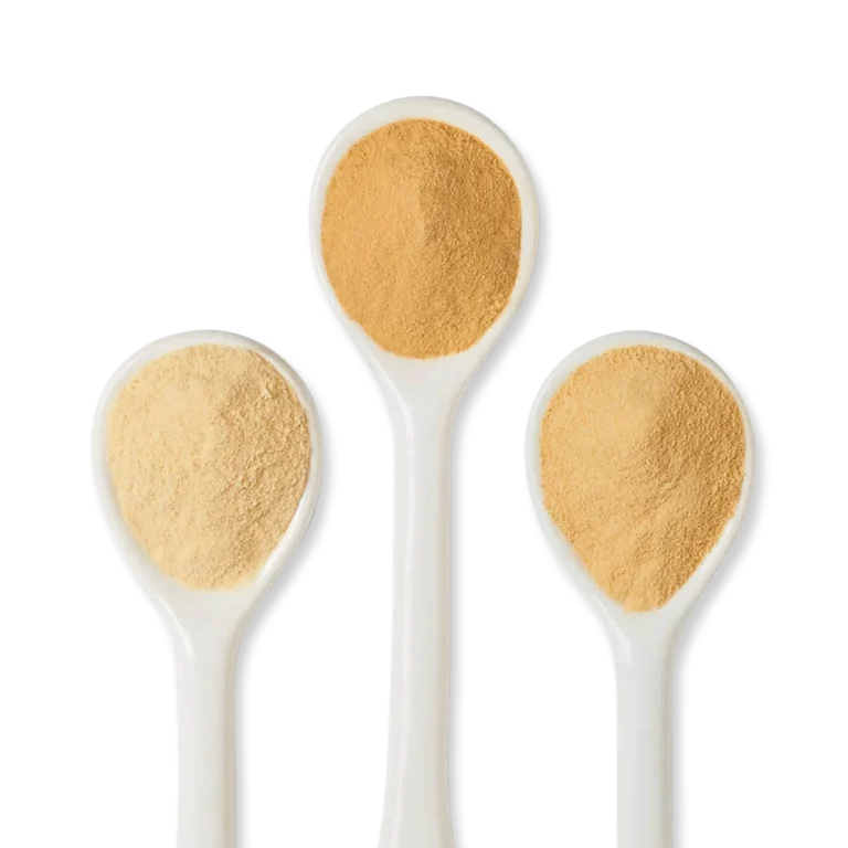 Three white ceramic spoons each hold a different shade of beige or brown powder against a white background.