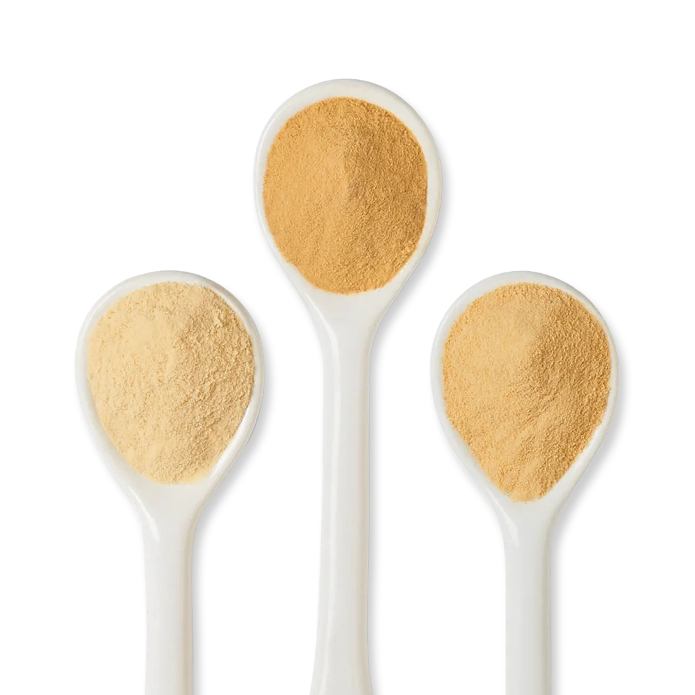 Three white ceramic spoons each hold a different shade of beige or brown powder against a white background.