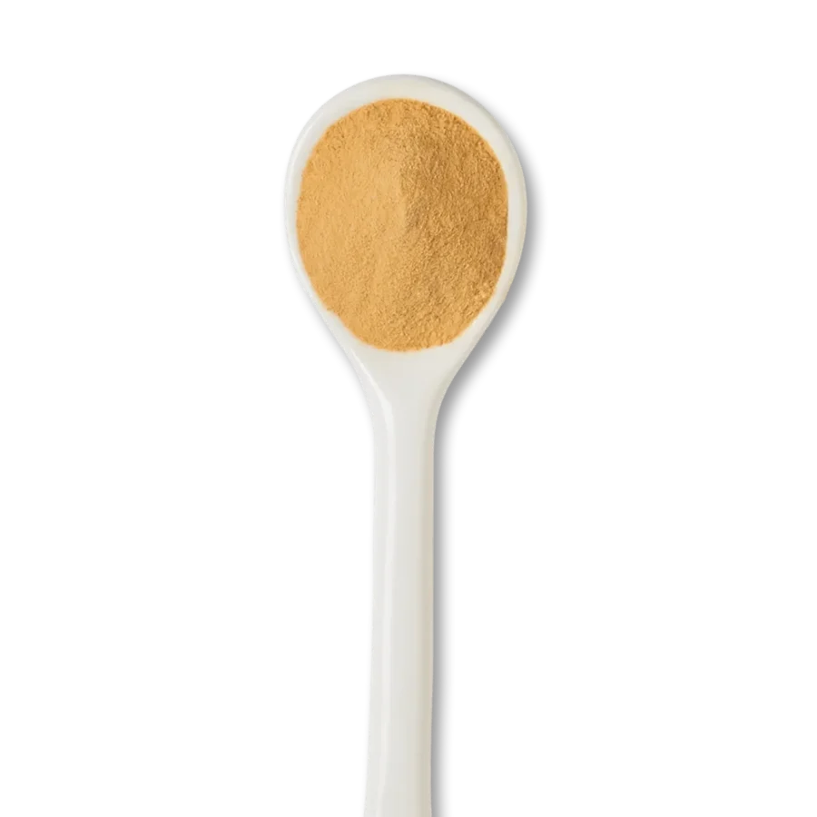 A white spoon filled with light brown powder, isolated on a white background.