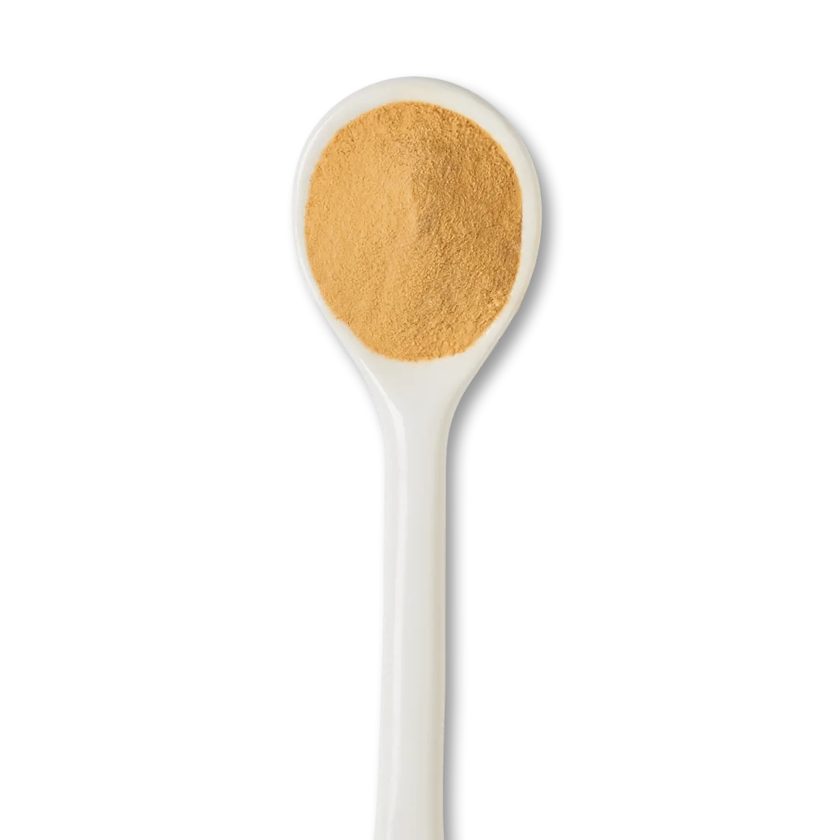 A white spoon filled with light brown powder, isolated on a white background.
