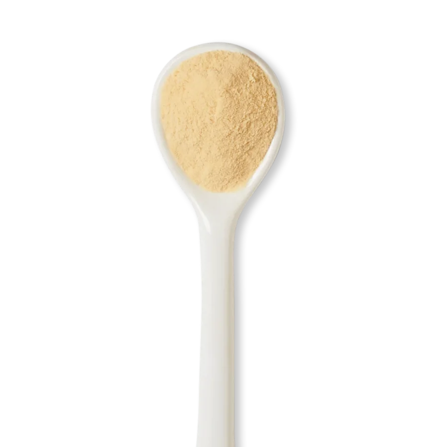 A white spoon filled with a fine, light beige powder against a white background.