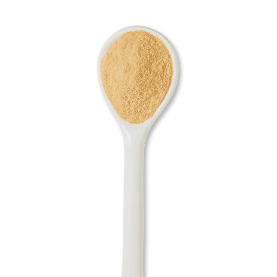 A white ceramic spoon filled with light brown powdered substance, viewed from above on a white background.