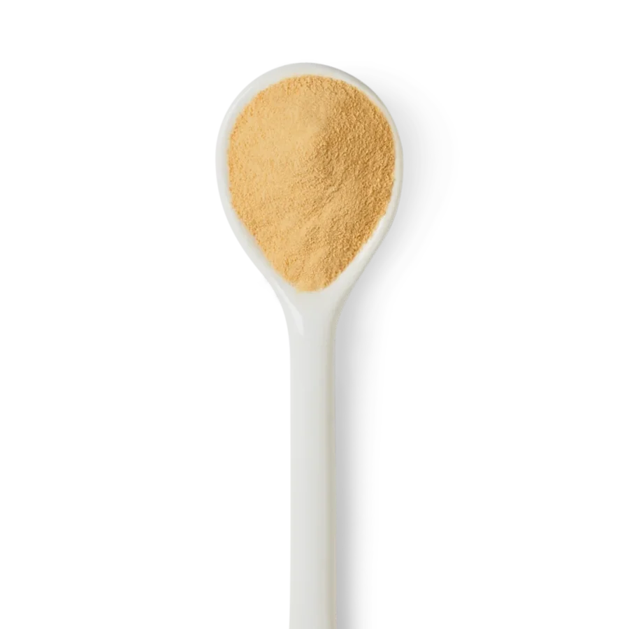 A white spoon filled with light brown powder, photographed against a white background.