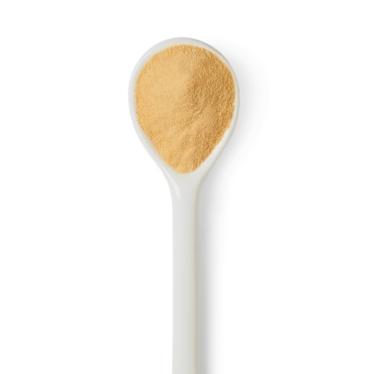 A white spoon filled with light brown powder, photographed against a white background.