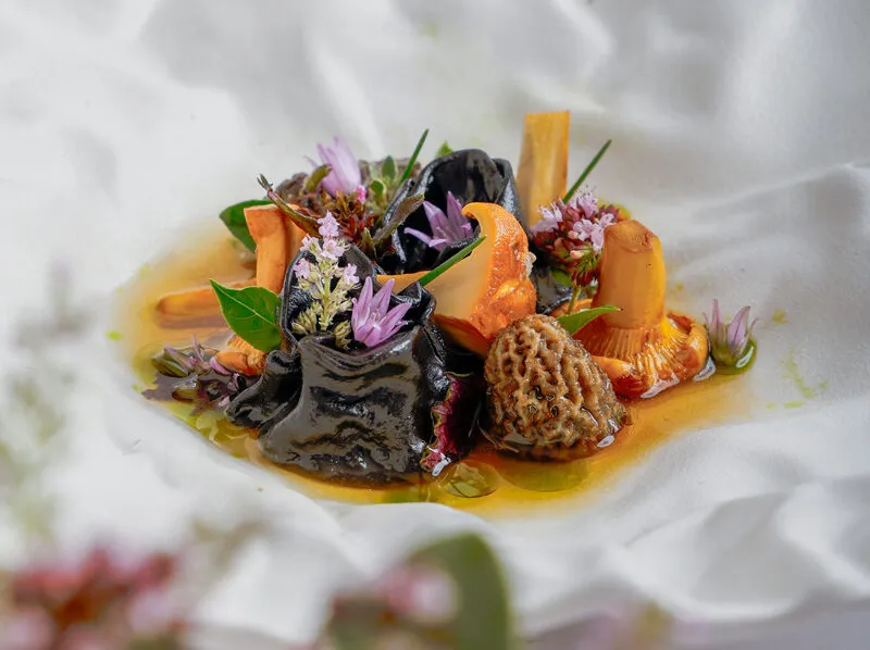 A plated gourmet dish featuring various mushrooms, black pasta, edible flowers, and herbs arranged on a white textured surface.