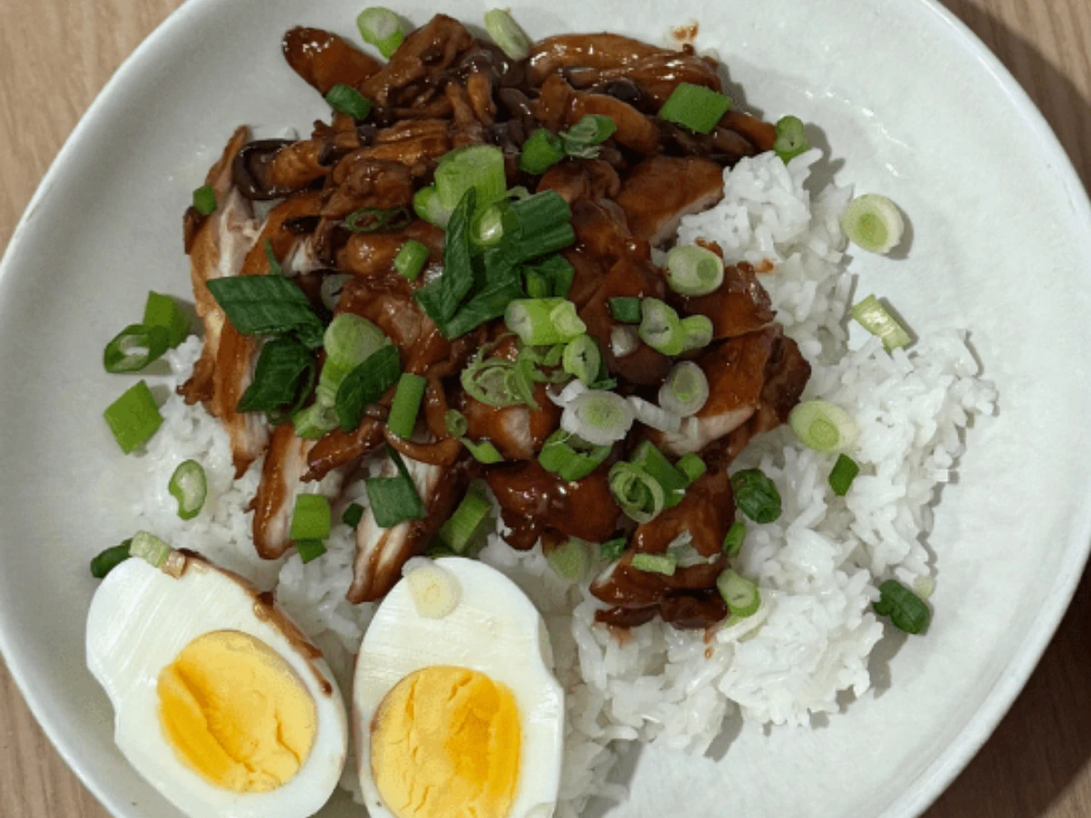 A bowl of white rice topped with sliced chicken in brown sauce, garnished with chopped green onions, and served with a halved boiled egg.