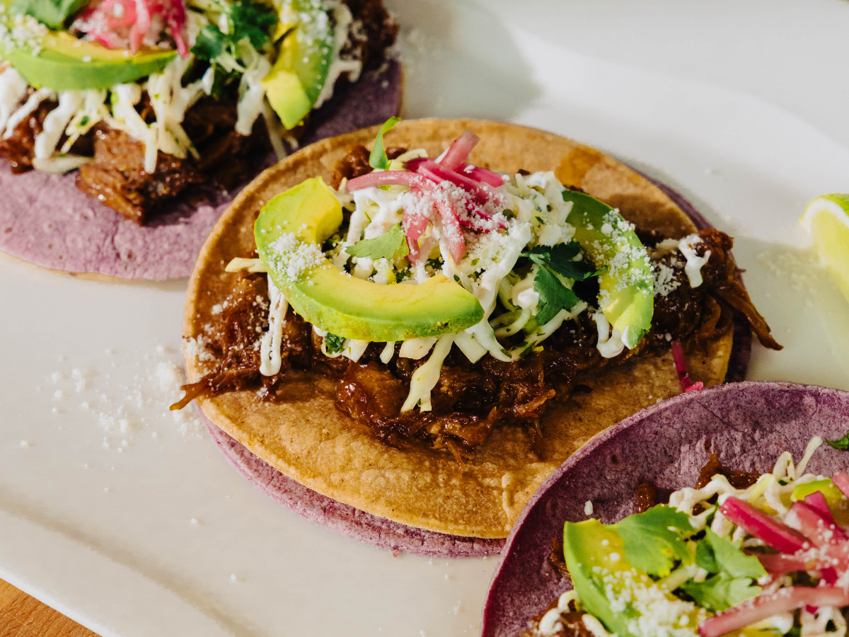 Two tacos with shredded meat, avocado slices, pickled onions, cheese, cilantro, and crema are served on a white plate with a lime wedge.